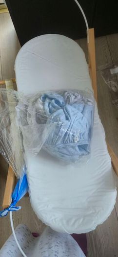 Moses basket
