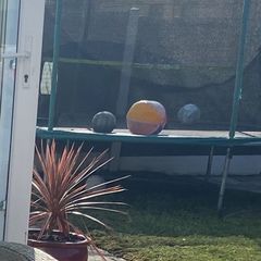 Trampoline