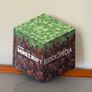 Minecraft Book Image 2