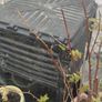 large compost bin free Image 2