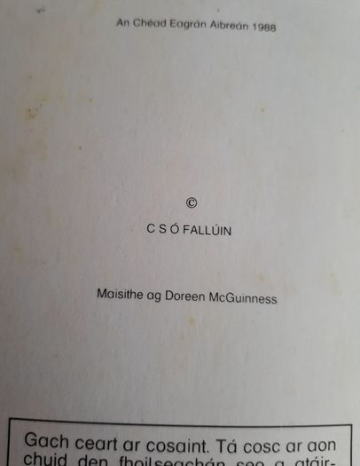 Gaeilge Fallons vintage school books