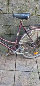 bikes
