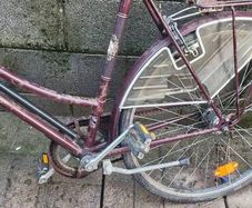 bikes