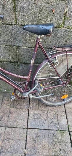 bikes