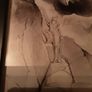 Nice sketch ( print ) Image 2