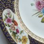 Spode Display Plate Image 4