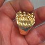 9-carat gold keeper's ring Image 4