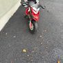 Kids electric peg Pegaro Ducati Image 7