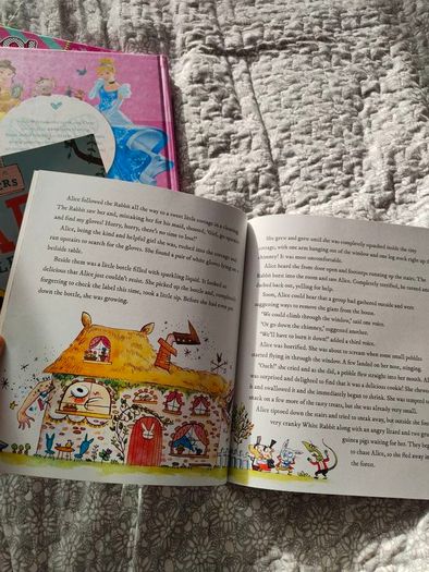 Bundle of books like new