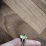 silver 925 ring and earrings Image 3