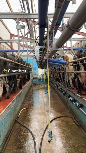 Relief milking available