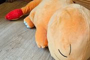 pokemon plush