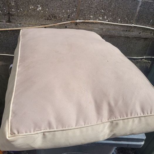 dog bed