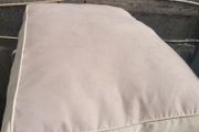 dog bed