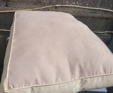 dog bed