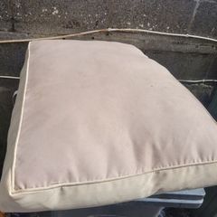 dog bed