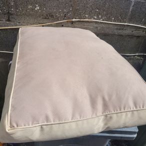 dog bed