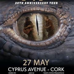 1 ticket to Rodrigo y Gabriela at Cyprus Avenue (27/5/26)