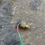 Mitsubishi Pajero Gearbox Solenoids Image 3