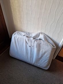 Chico co-sleeper cot (free)