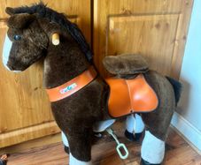 ponycycle