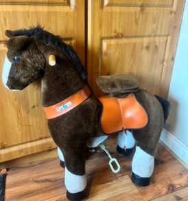 ponycycle