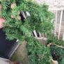 Christmas decoration Image 3