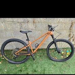 Cannondale mountain bike
