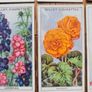 Vintage Cigarette cards Image 9