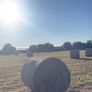 Hay Bales Image 3