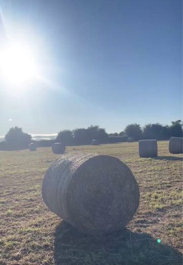 Hay Bales
