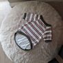 Dog Cloth Image 2
