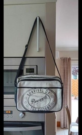 Pineapple kit bag