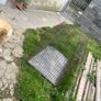 dog cage Image 5