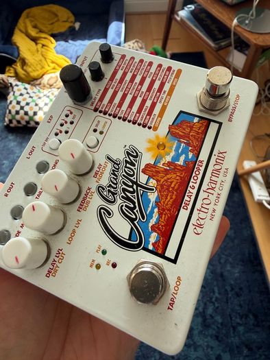 Grand canion loop delay pedal