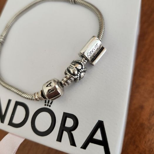 Pandora bracelet and Pandora charms