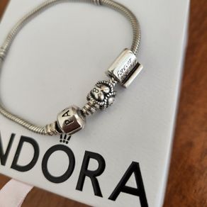 Pandora bracelet and Pandora charms