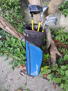 Golf Clubs. Junior Set Of Colt Golf For Age 8 To 10 Year Old. Collect In Dublin Or Receive Via Post.