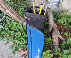 Golf Clubs. Junior Set Of Colt Golf For Age 8 To 10 Year Old. Collect In Dublin Or Receive Via Post.