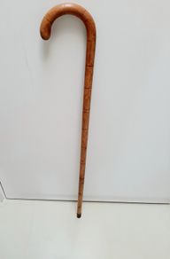 Walking stick