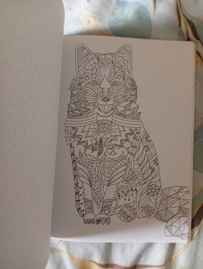 Therapeutic Colouring Books x 2