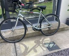 Raleigh Town and Comfort Ladies Bicycle