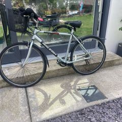 Raleigh Town and Comfort Ladies Bicycle