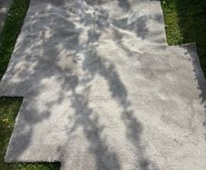Free Carpet (Grey in color)