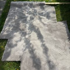 Free Carpet (Grey in color)