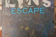 Lyn's Escape by Lyn Madden