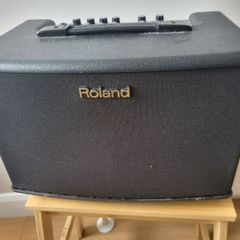 Roland AC 40 Acoustic Chorus