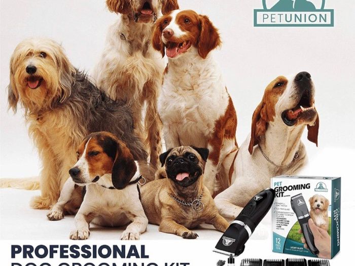 Professional Dog Grooming Kit - Rechargeable, Cordless Pet Grooming Clippers & Complete Set of Dog Grooming Tools. Low Noise & Suitable for Dogs, Cats and Other Pets Stainless Steel (FREE POSTAGE)
