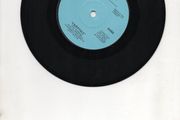 Dana Fairytale Irish Pressing 1976 Single