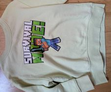 Minecraft sweatshirt